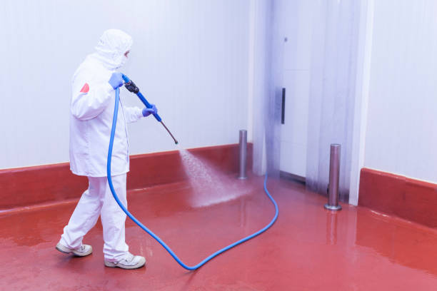Best Parking Lot Cleaning in Kings Park, VA