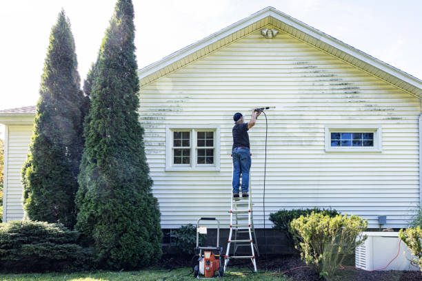 Best Vinyl Siding Pressure Washing in Kings Park, VA